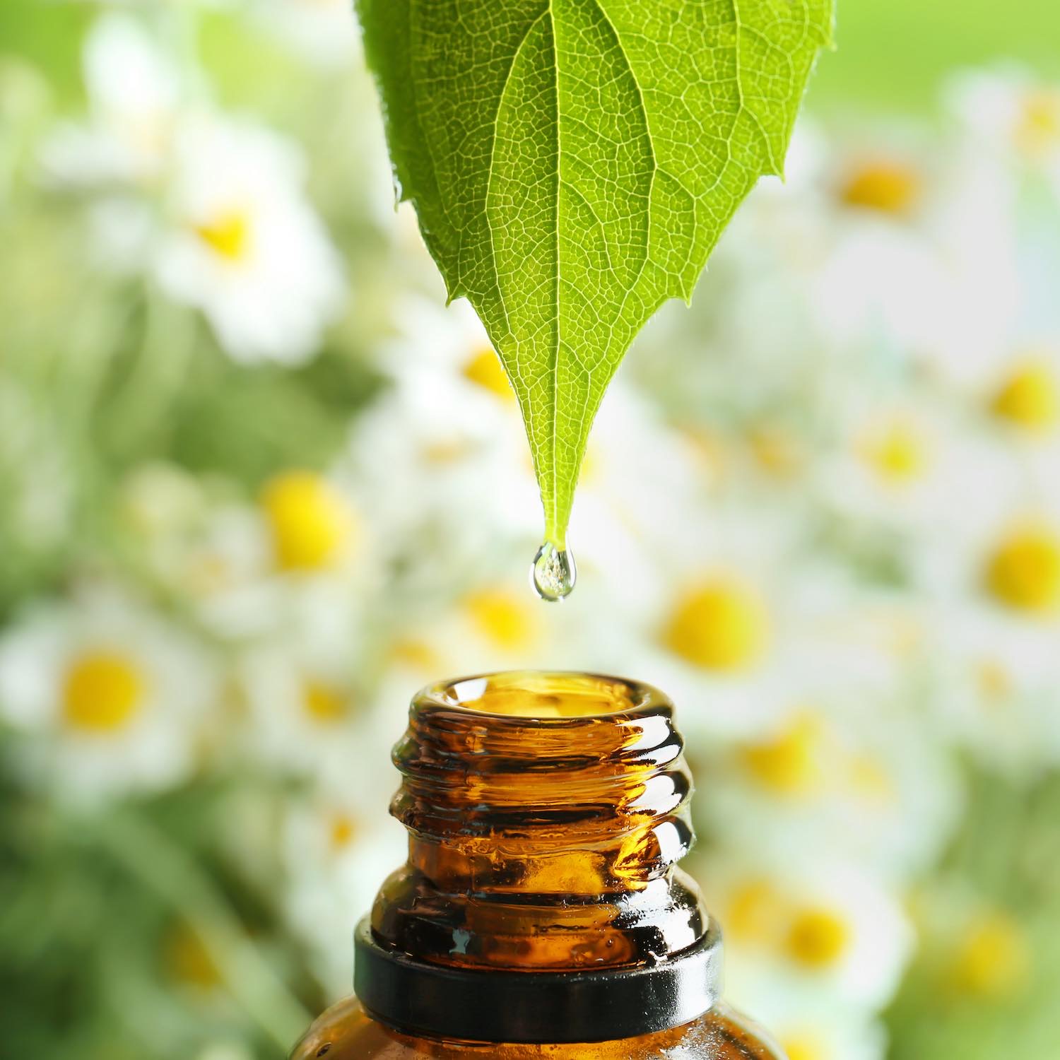Aromathérapie et huiles essentielles Pharmacie de Générac Aromathérapie et huiles essentielles Pharmacie de Générac